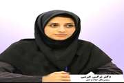 کشتار سگهای بدون صاحب راهکار علمی برای کنترل جمعیت آنها نیست